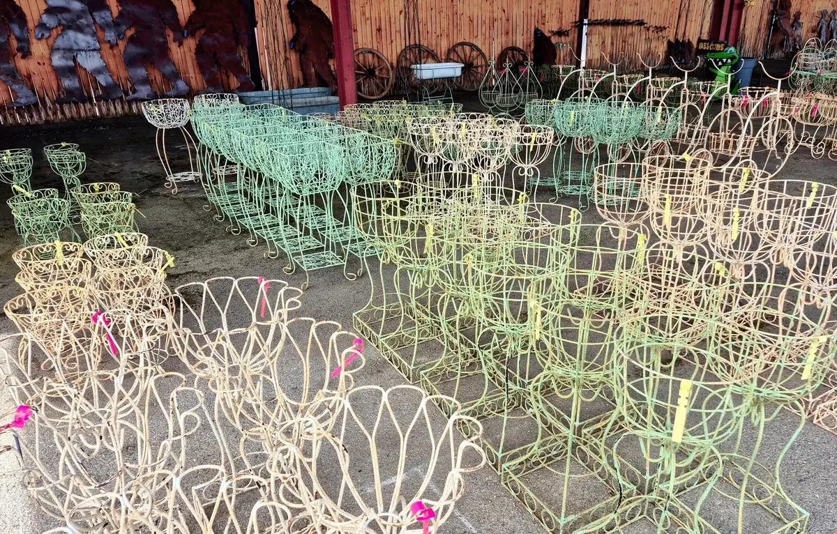 Rows of pastel vintage wire garden chairs at the Market